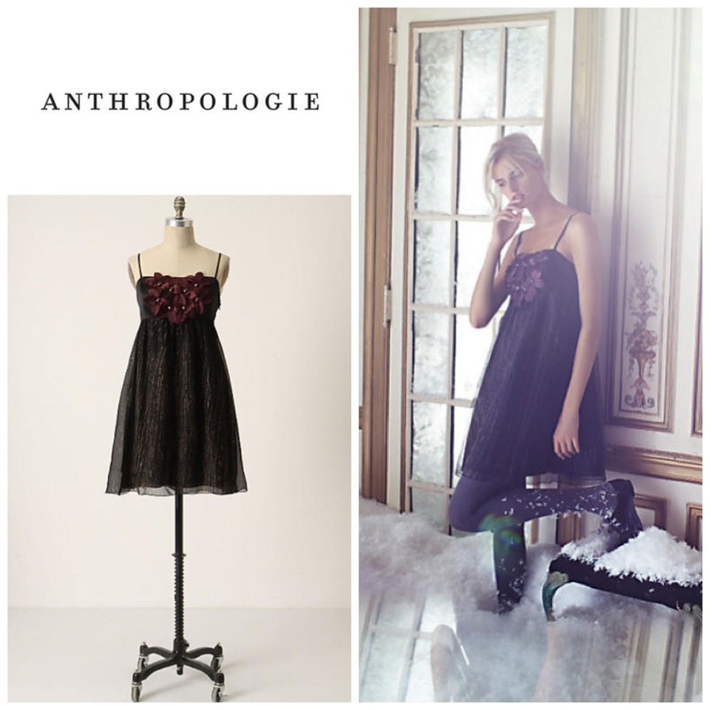 Rare Anthropologie "Remembering Violets" dress